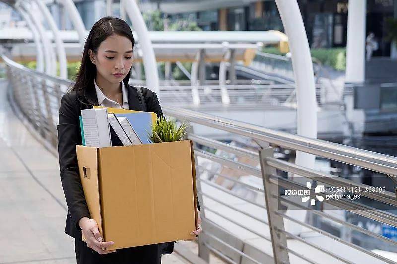 就业|2020，谁在提供新饭碗？