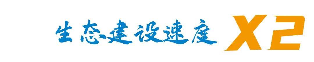 文章配图-10