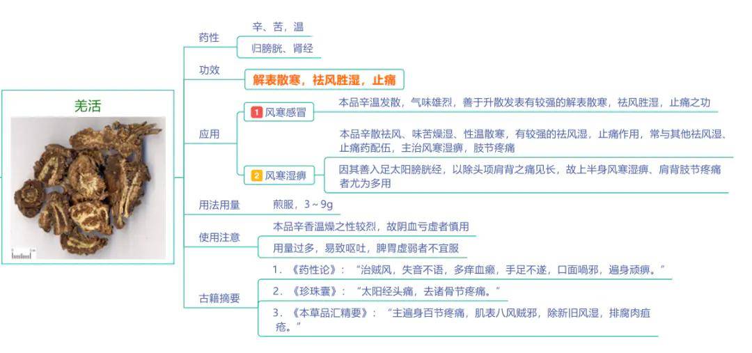 知识点梳理7种中药学常考解表药超清晰思维导图送给你下