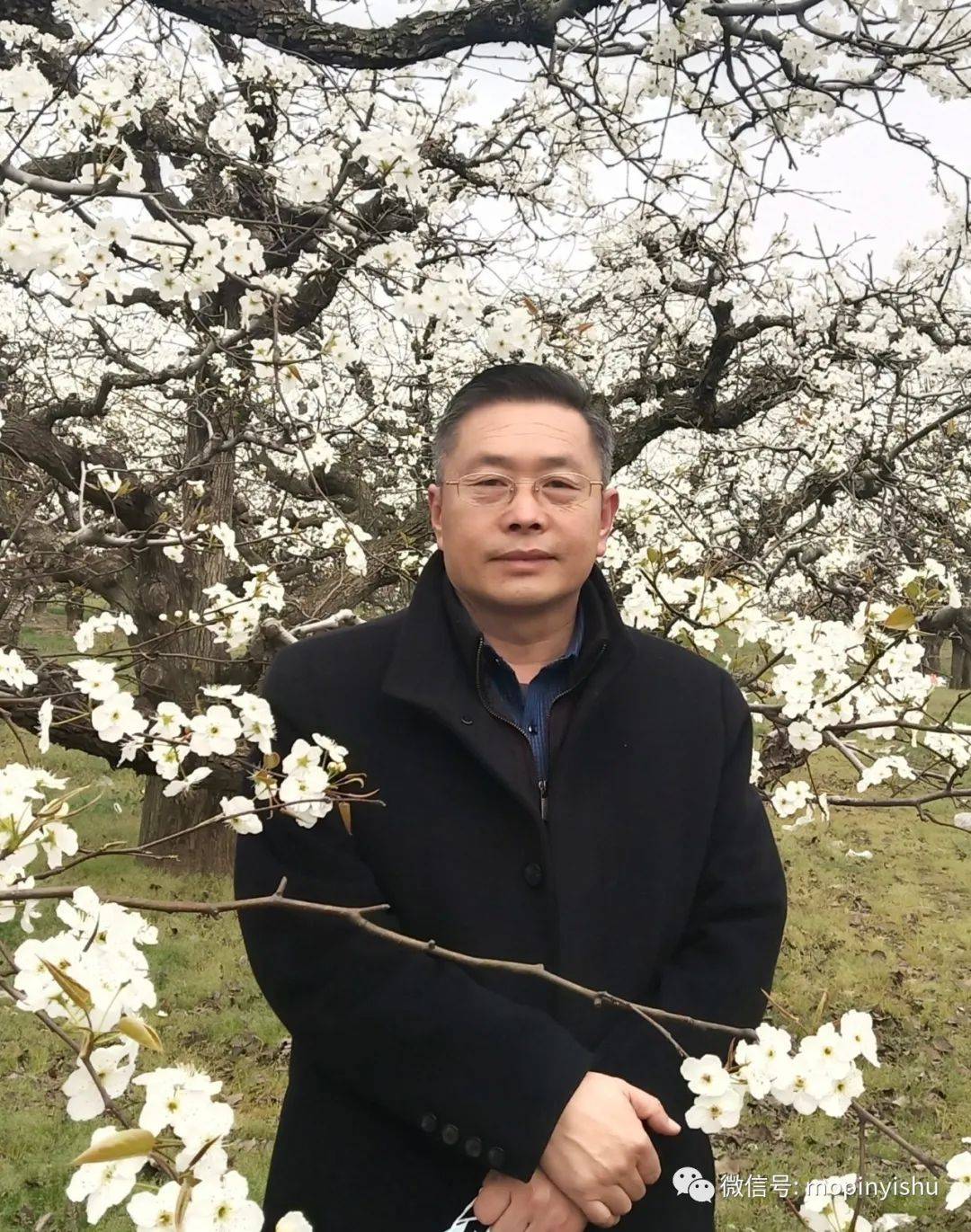 中国美术家协会会员,丰县美术家协会主席—王宏