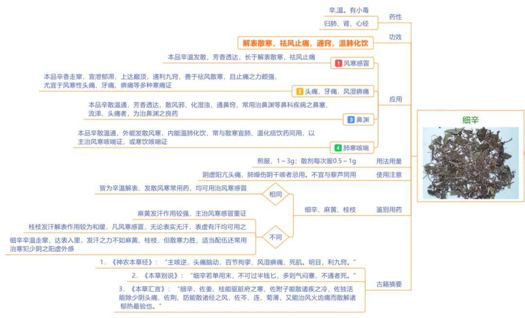 7种中药学常考解表药,超清晰思维导图送给