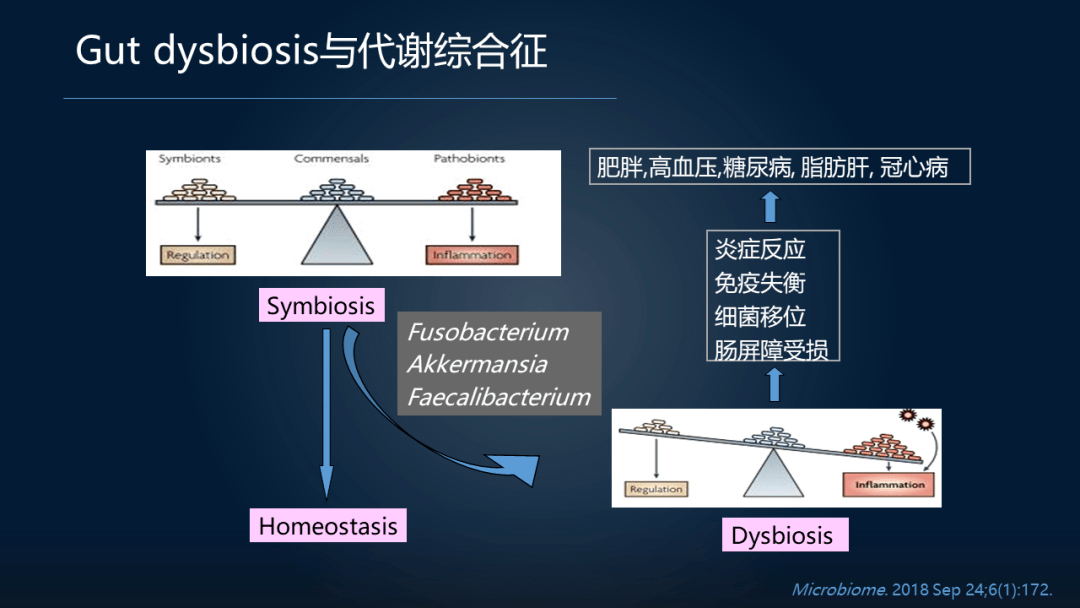 疾病|周宏伟：面对高致命孕期疾病，我们如何在肠道找到突破口？