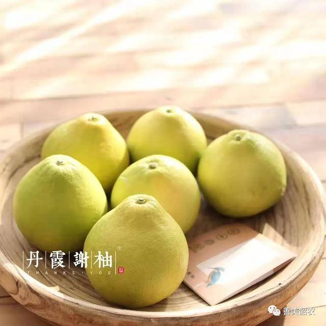 韶关丹霞山柚子专访:卖内衣的企业家,卖柚子也有"那味了"