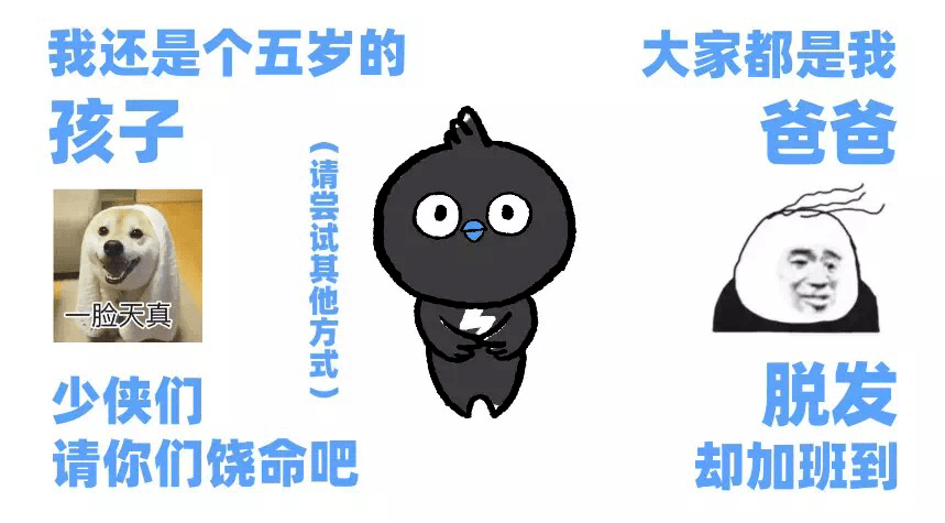 文章配图-12