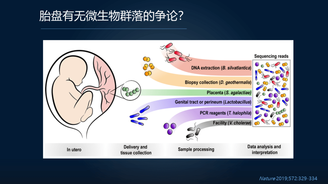 疾病|周宏伟：面对高致命孕期疾病，我们如何在肠道找到突破口？