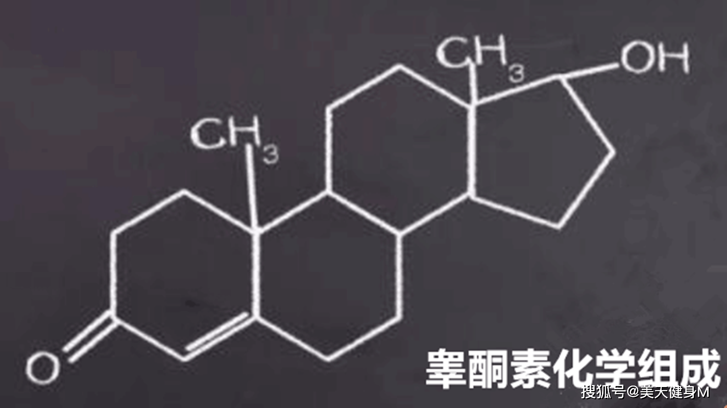 睾酮素对于男性而言，是非常重要哟的一种激素，从外表上看，睾酮素比较