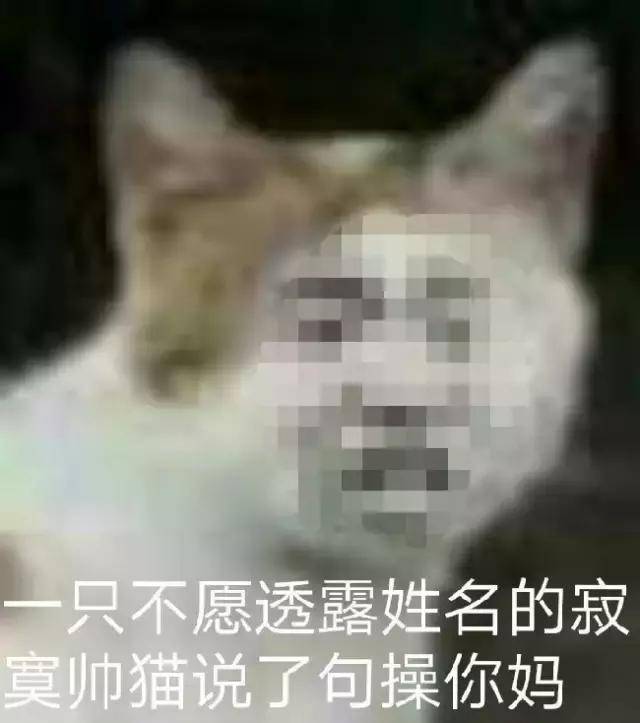 表情包:这鬼天气弄得我都湿了,我说的是眼眶