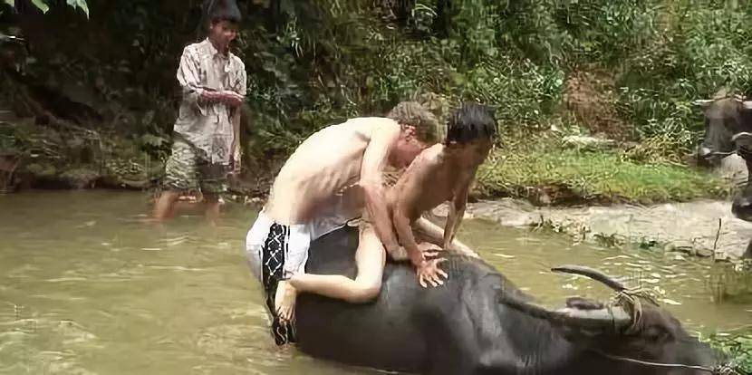 教育|两个外教的离开，留给中国式教育无尽的反思！