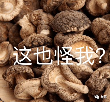 微博|原创啥？李国庆俞渝高调复合了？！