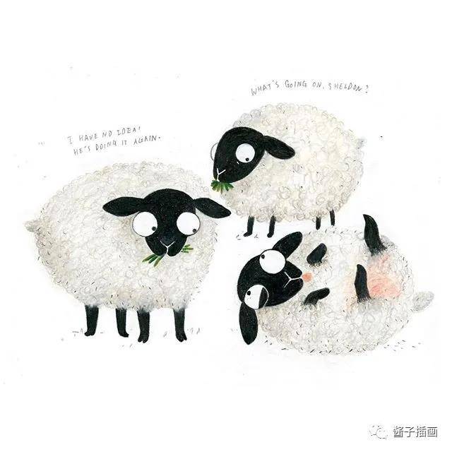 《sheep》