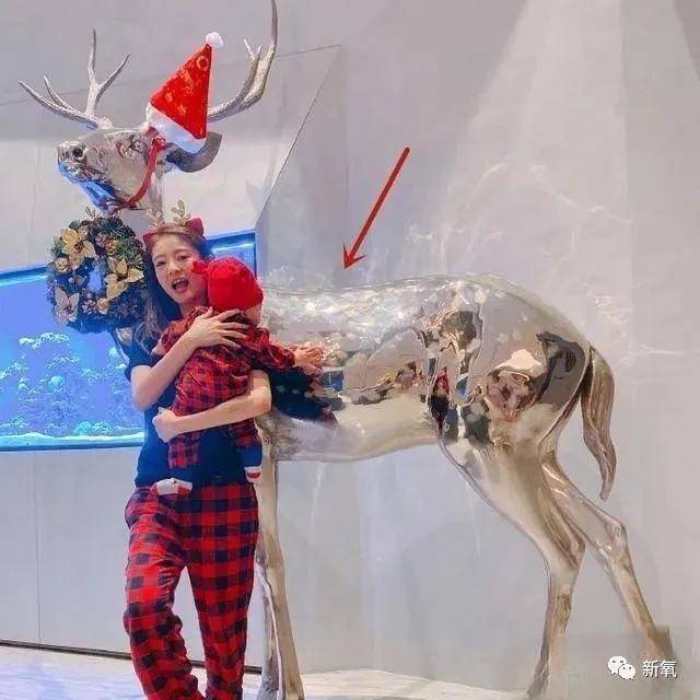 为报大S夺爱之仇嫁百亿富豪，没想到也要拼死生