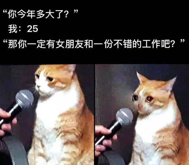 40c5f92ae5d1456f8b804fc69388fb22.jpeg