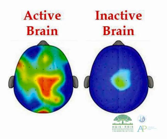 威达|艾威达告诉你：为什么探究式学习是最好的教育？