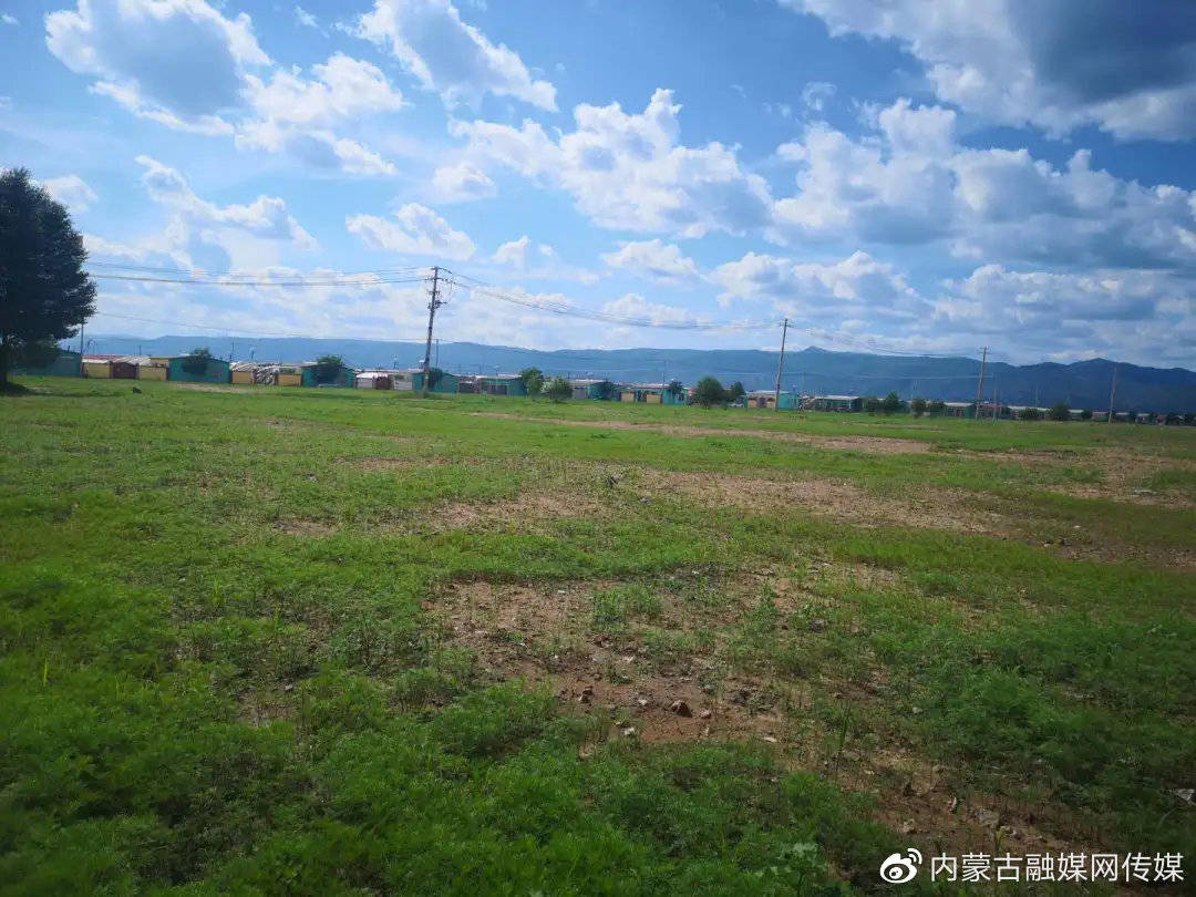 赛罕区"百亩花田"就要开花了