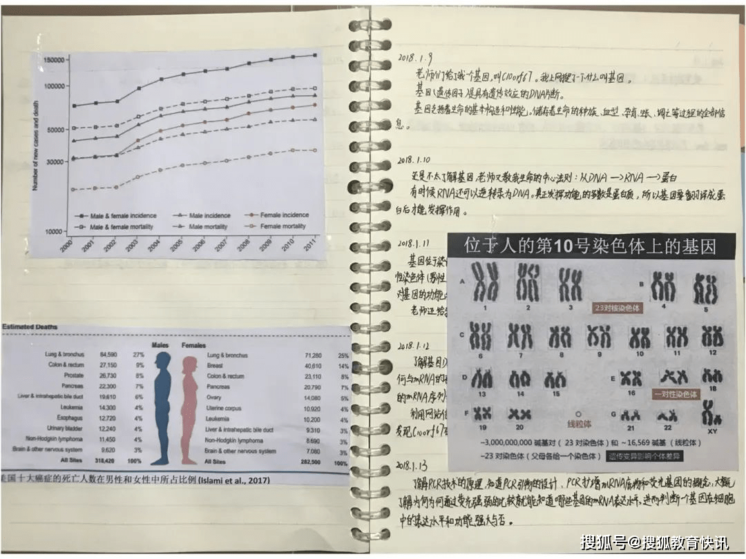 官方回应小学生研究癌症获全国大奖