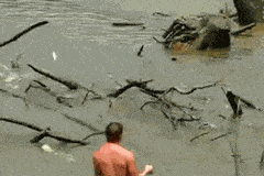 搞笑gif:妹子的一字马,还真是厉害啊!