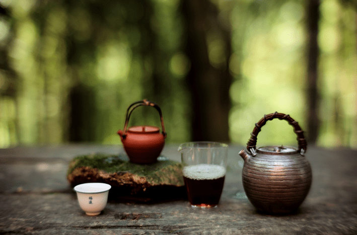 福莲嘉叶|端一杯福莲茶,静赏茶画艺术的风韵