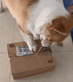 搞笑gif:妹子你这样玩,是不是有点过分了啊