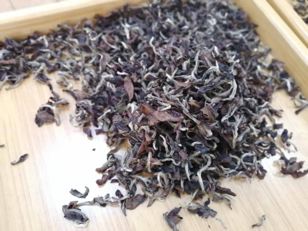 紫金蝉茶(乌龙)