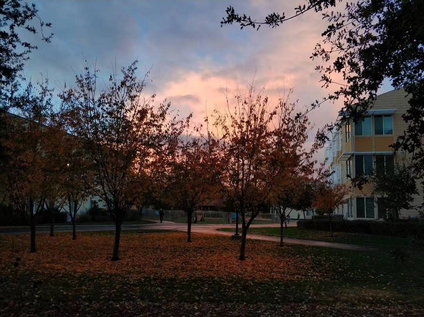 加州大学欧文分排名_加州大学欧文分校招生“潜规则”