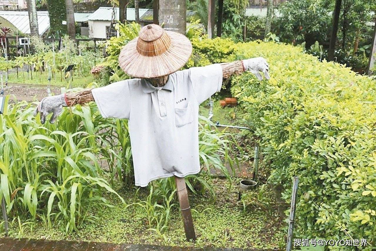 仅有一个活人的稻草人村,环境让人触目惊心,背后原因却让人难受