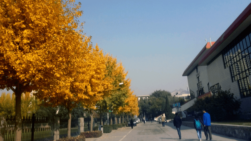 这所师范大学,因食堂饭菜好吃,被戏称"西北吃饭大学"