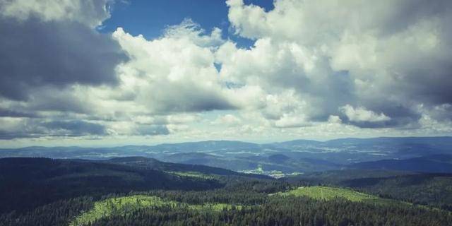 就业|央视曝光：2020十大“热搜专业”出炉! 好就业, 工资高! 强烈建议报考