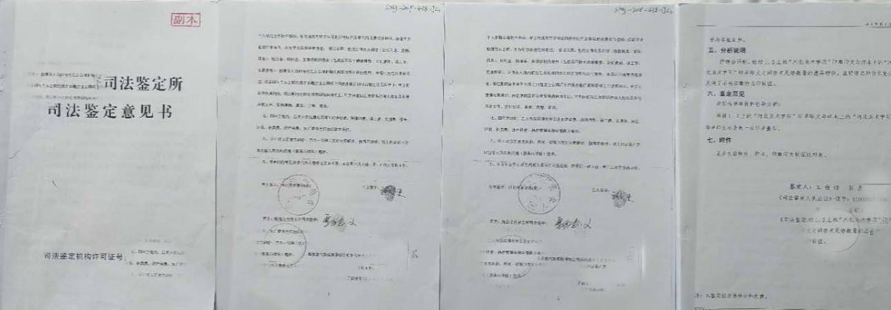 甄某|院长女儿陷连环借贷 河北美术学院受牵连资产被冻结