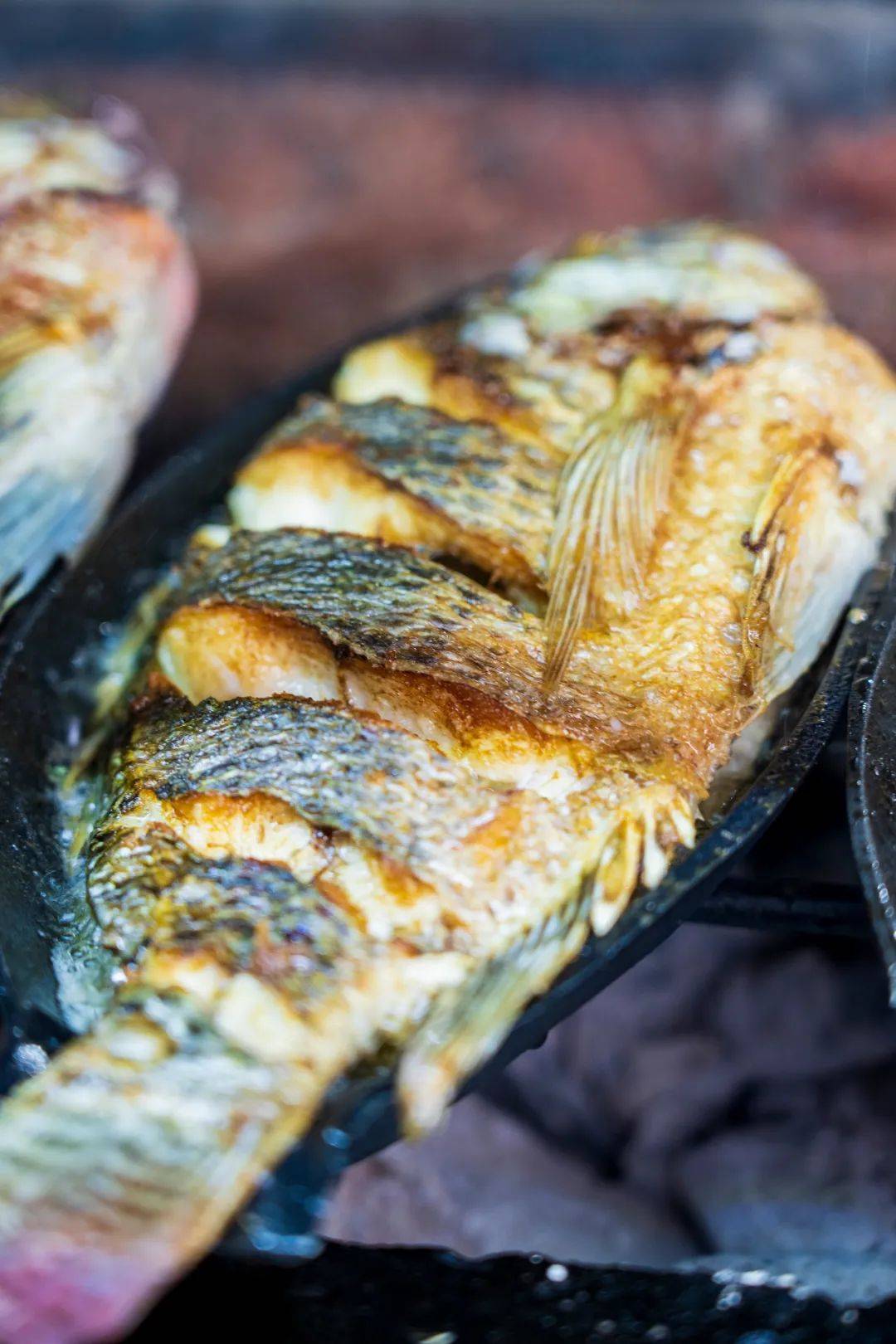 连唐僧|生蚝比47码皮鞋大，连唐僧都无法拒绝藏在昆明小区的老字号烧烤