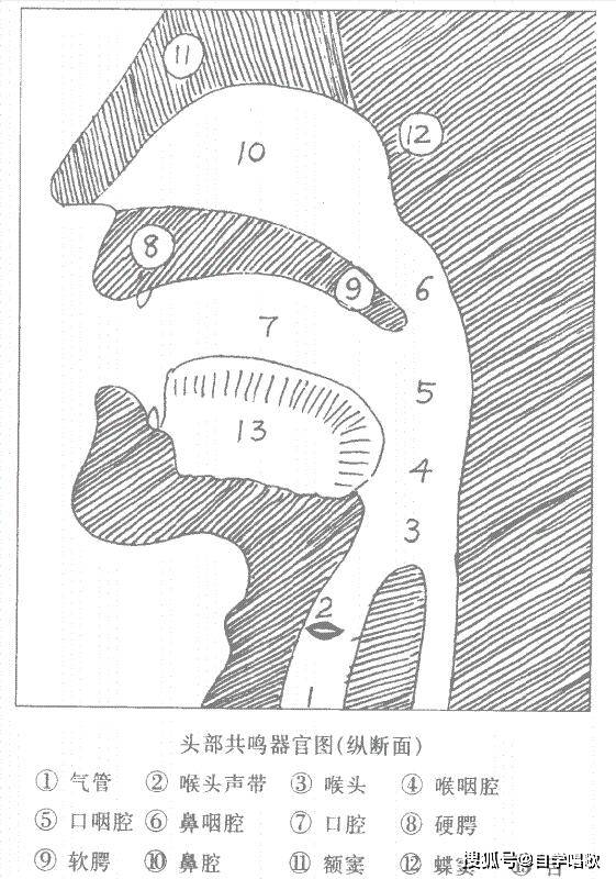 唱歌共鸣有哪些比较常用的方法?_手机搜狐网