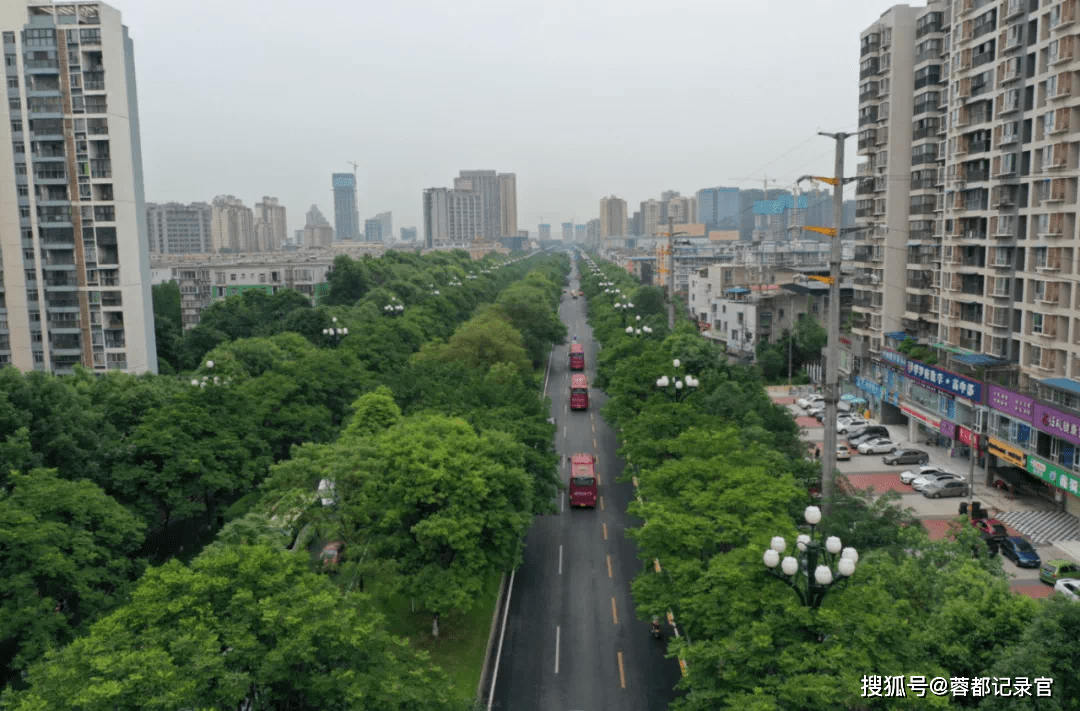 新都蜀龙大道南段(熊猫大道至江陵路)改造最新进展,几