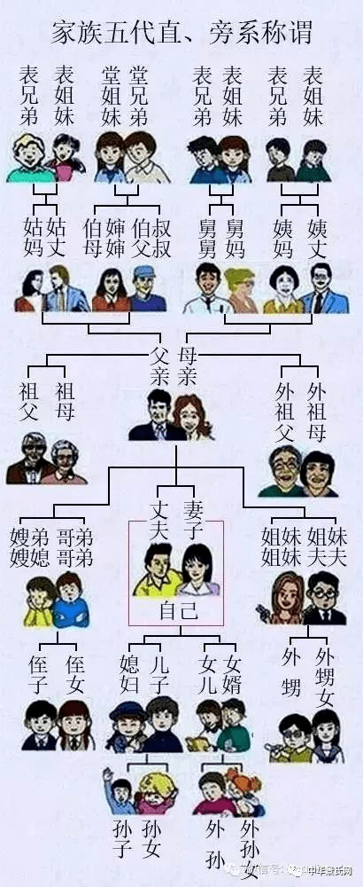 姨父和姨夫是不同的_称呼