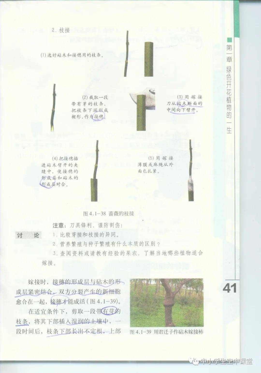 ab53907cc72346edb2a3c19d7c5bbe79.jpeg