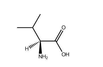缬氨酸是什么?