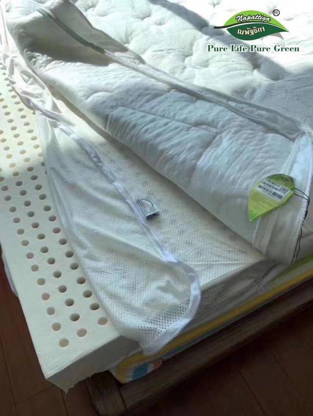 怎么样才是真正的乳胶床垫 e785ea3e77714822a0bbcc95a629dd6c.jpeg
