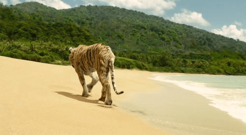 阿里巴巴的2020奇幻漂流，谁是猛虎？