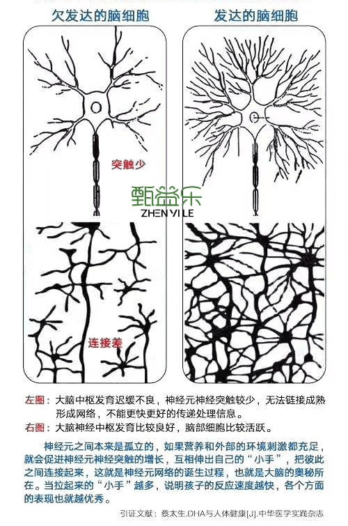 什么乐组成语_肾由什么部分组成(2)