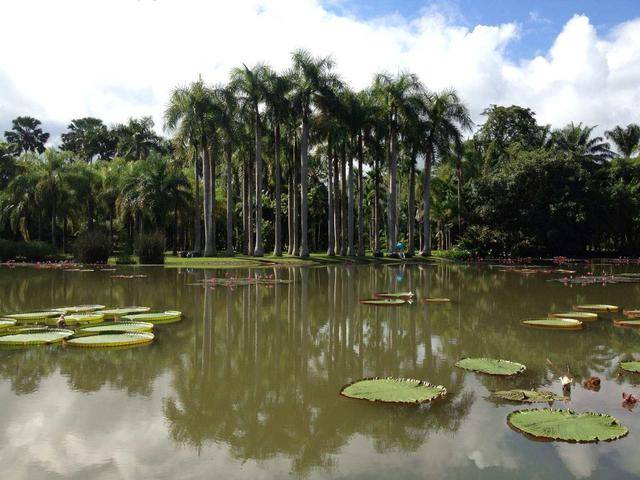 云南2020GDP瞒报了吗_云南2020各市gdp