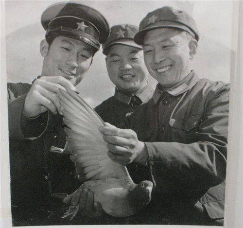 兵什么战危成语_成语故事简笔画(3)
