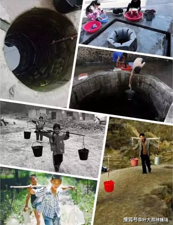 农村8090后小时候做过的农活,你做过几样?曾经的困苦你忘了吗?
