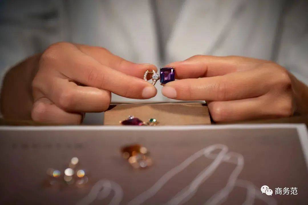 pdf|全世界富豪名媛、顶级VVVVIP们，今年最想要的珠宝清单.pdf