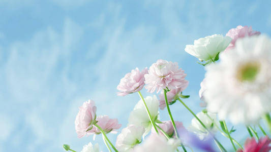 8eaa8cb3ded54ee28d4a2d53b4045a39.jpeg
