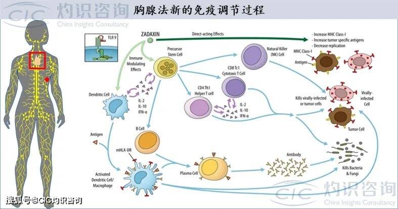 口罩|CIC灼识咨询发布《中国新冠疫情系列行业蓝皮书》
