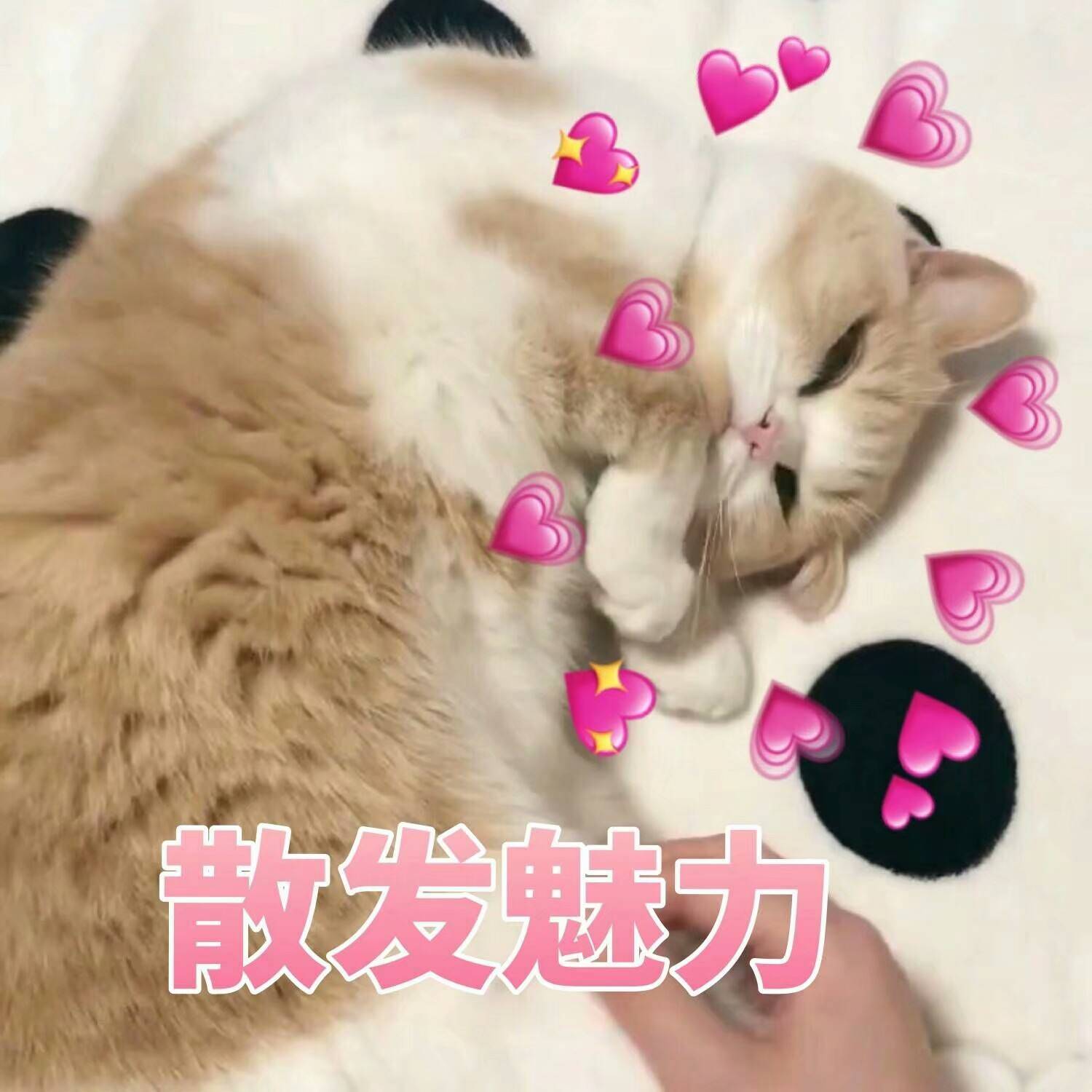 bfc28b1b9451494c8c31b24be89b9eaf.jpeg
