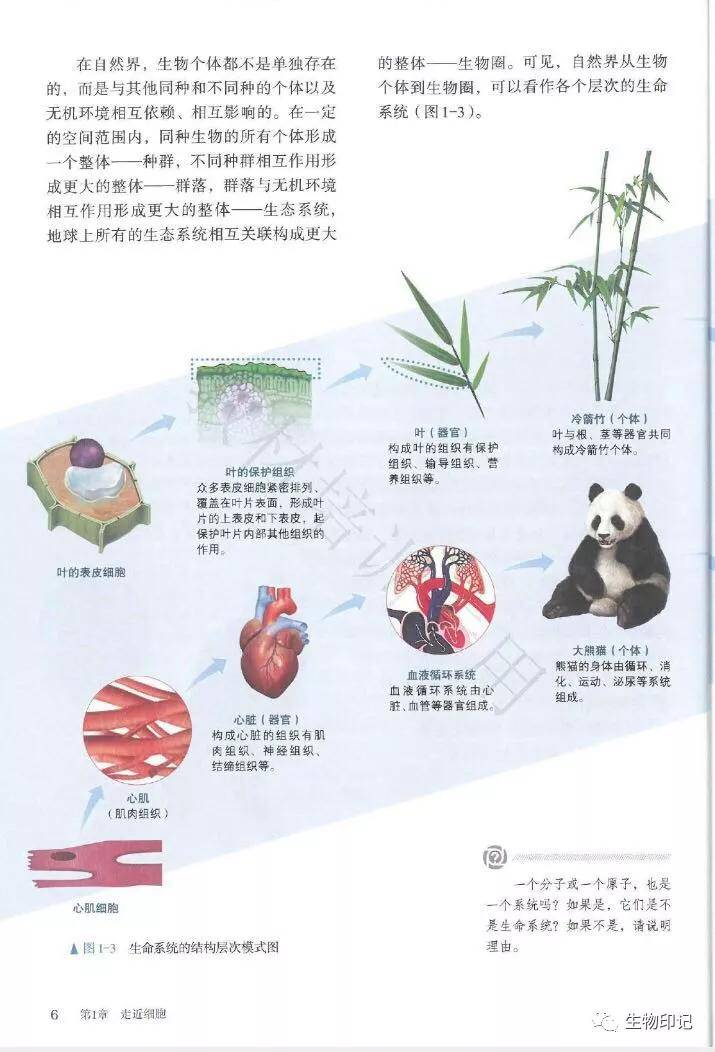 2019新人教版高中生物必修1《分子与细胞》电子课本(高清pdf版)