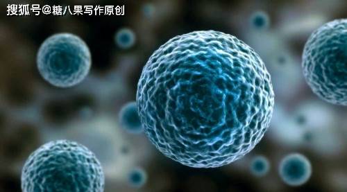 癌症没有基因突变是遗传的癌症吗 268b8f52577d4d60bf6ea37e287c44f7.jpeg