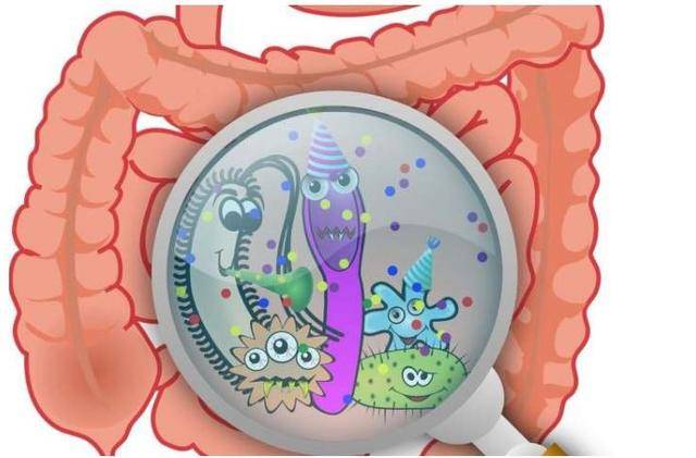 人类肠道,细菌4600多种,你知道几种?