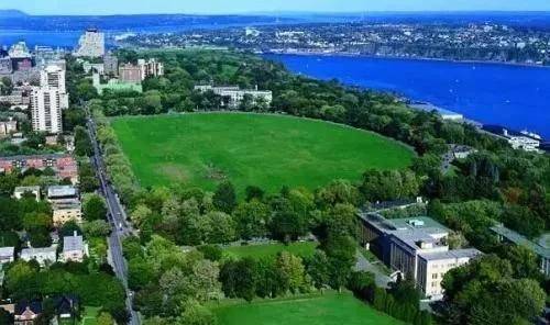 高考|你会选择高考后出国留学吗？