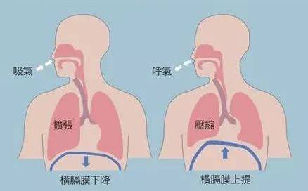 肺气肿能活多久你想知道的都在这里