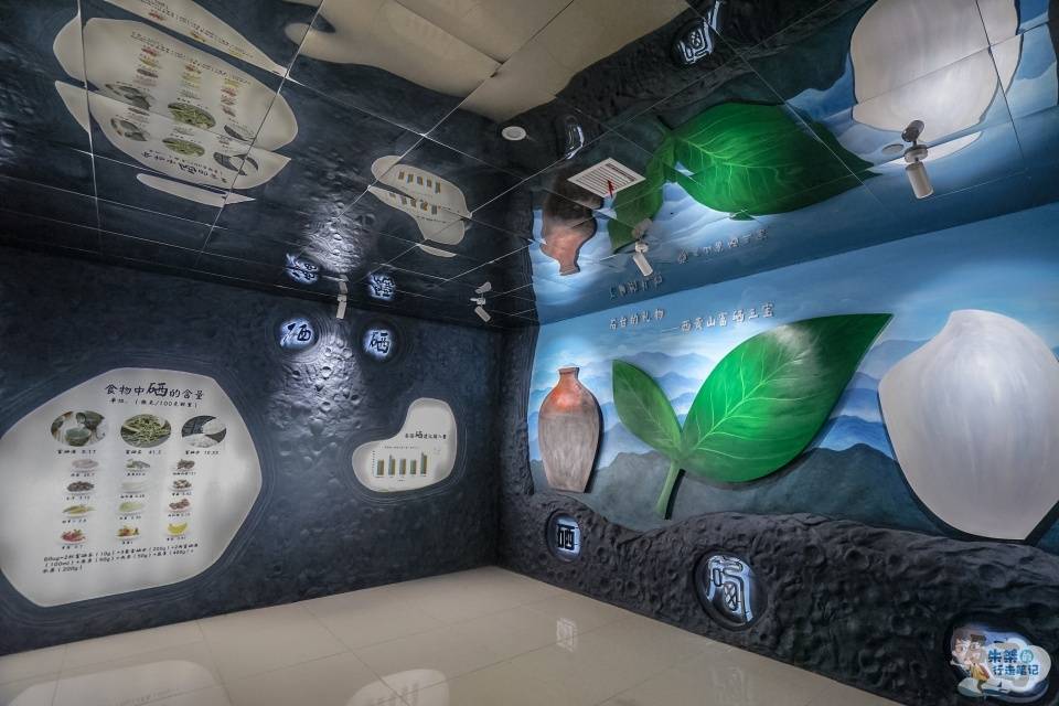 华东|中国三大富硒地之一 华东首家以富硒文化为主题的展馆 知道的不多